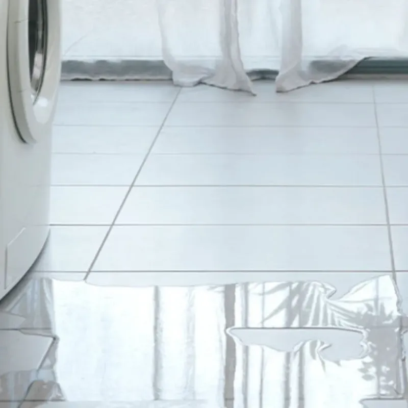 Appliance Leak Cleanup in Murphy, ID